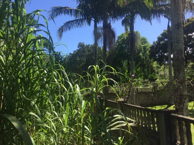  Bedroom Property for Sale in Palm Beach KwaZulu-Natal