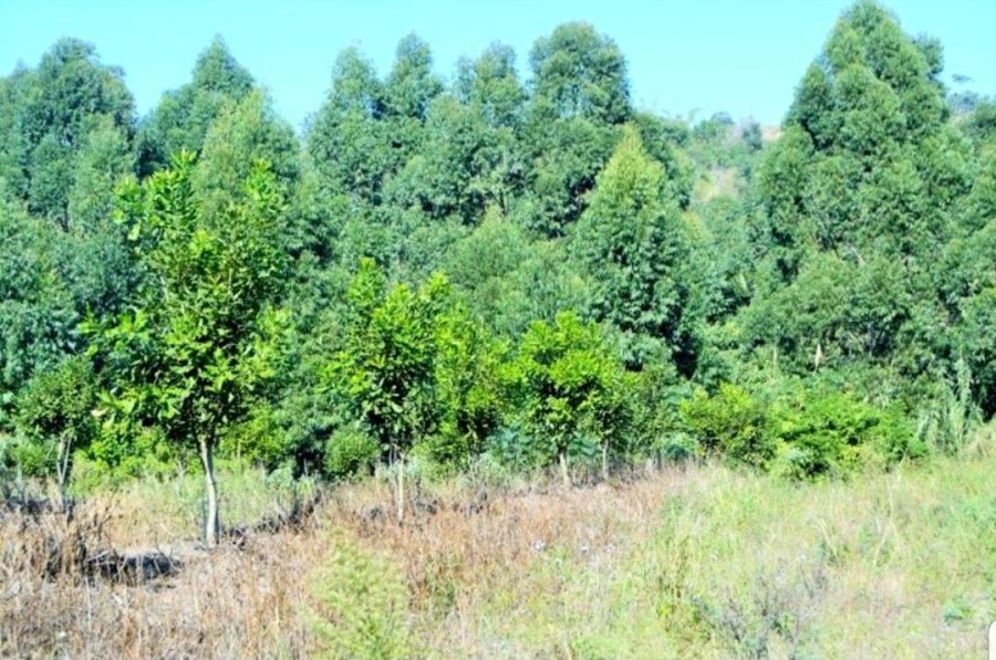  Bedroom Property for Sale in Margate KwaZulu-Natal