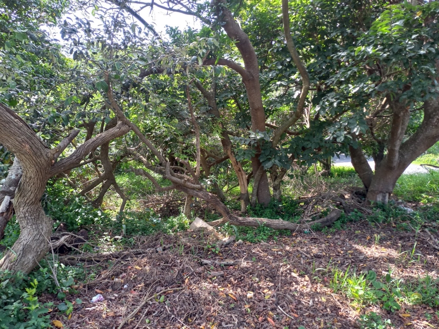 Bedroom Property for Sale in Hibberdene KwaZulu-Natal