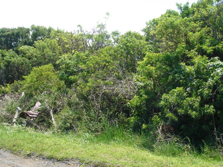  Bedroom Property for Sale in Port Edward KwaZulu-Natal