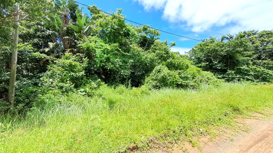  Bedroom Property for Sale in Palm Beach KwaZulu-Natal