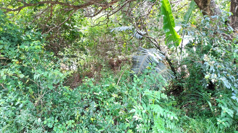 Bedroom Property for Sale in Palm Beach KwaZulu-Natal