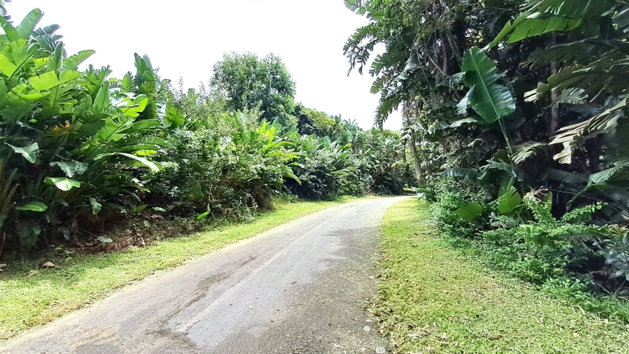  Bedroom Property for Sale in Trafalgar KwaZulu-Natal