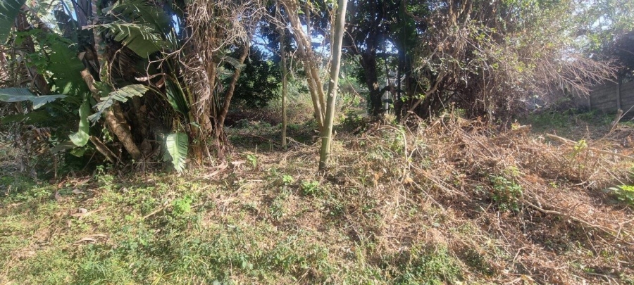  Bedroom Property for Sale in Melville KwaZulu-Natal