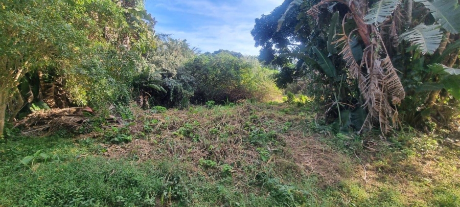  Bedroom Property for Sale in Melville KwaZulu-Natal
