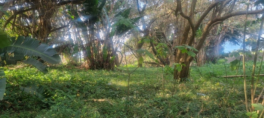  Bedroom Property for Sale in Melville KwaZulu-Natal