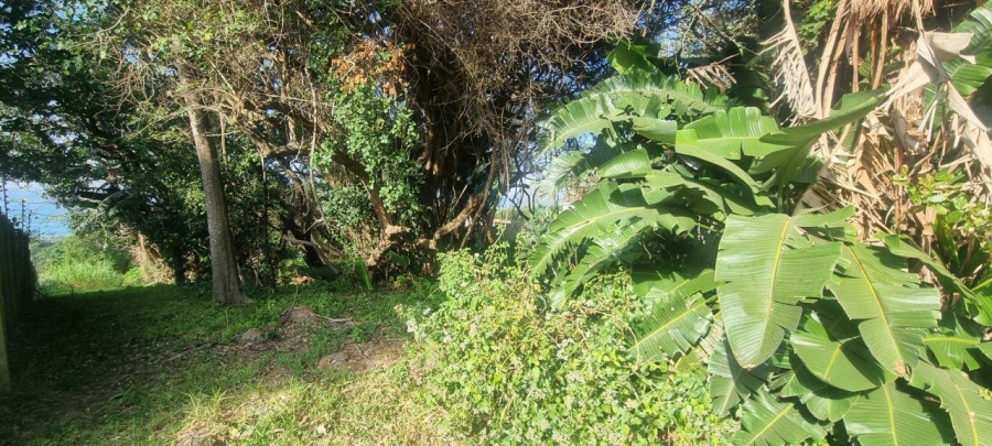  Bedroom Property for Sale in Melville KwaZulu-Natal