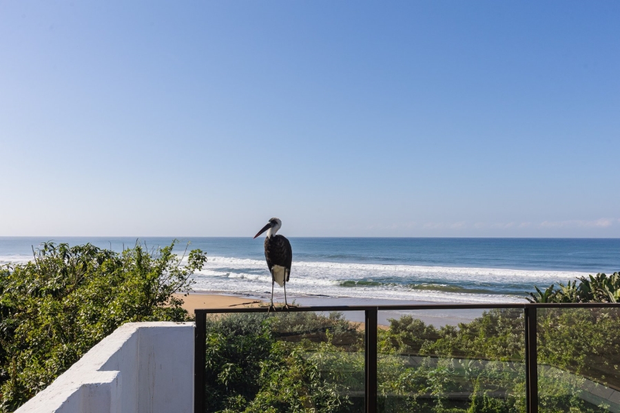 6 Bedroom Property for Sale in Umzumbe KwaZulu-Natal