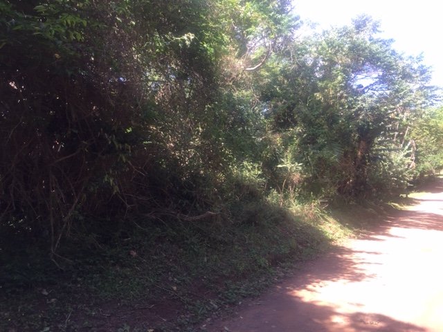  Bedroom Property for Sale in Leisure Bay KwaZulu-Natal