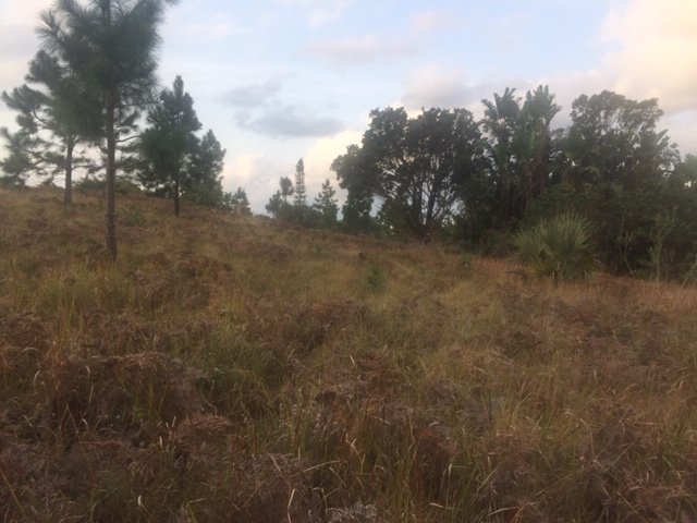  Bedroom Property for Sale in Palm Beach KwaZulu-Natal