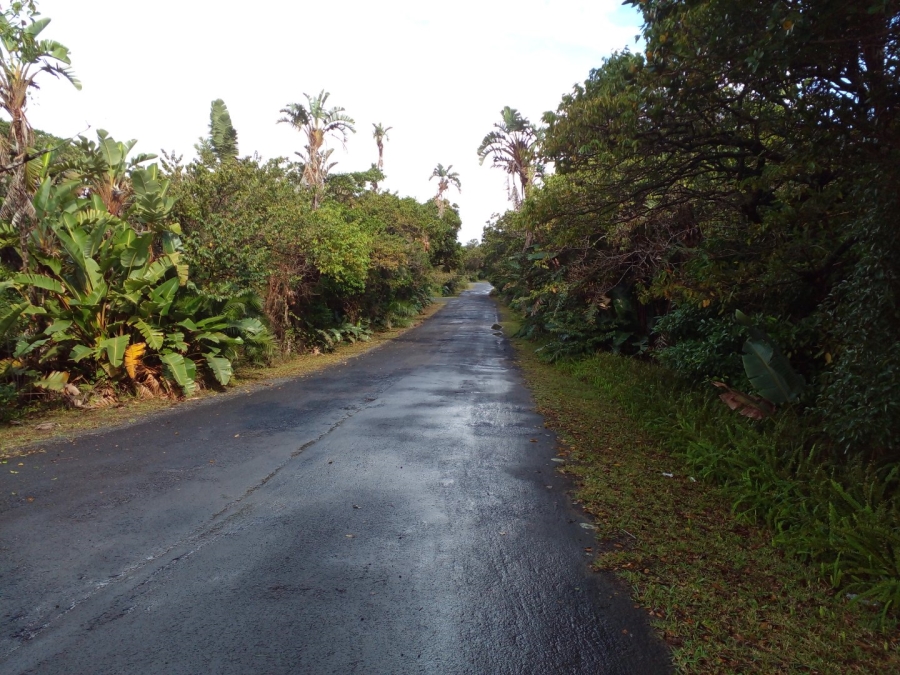  Bedroom Property for Sale in Palm Beach KwaZulu-Natal