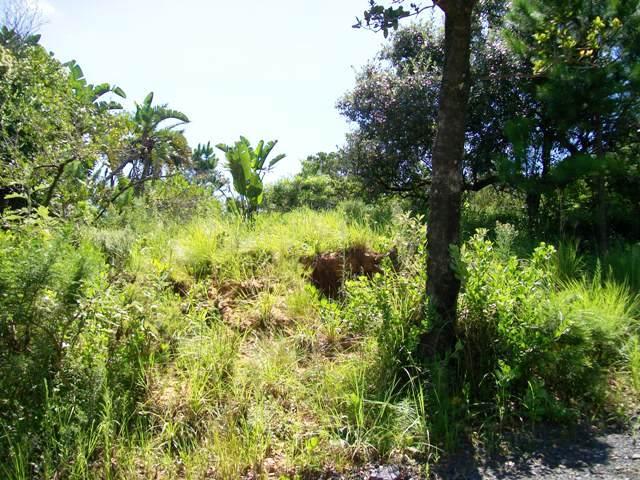  Bedroom Property for Sale in Palm Beach KwaZulu-Natal