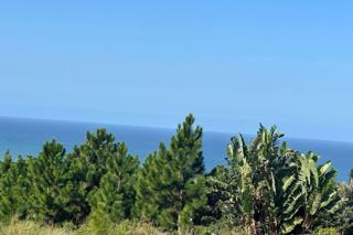  Bedroom Property for Sale in Palm Beach KwaZulu-Natal