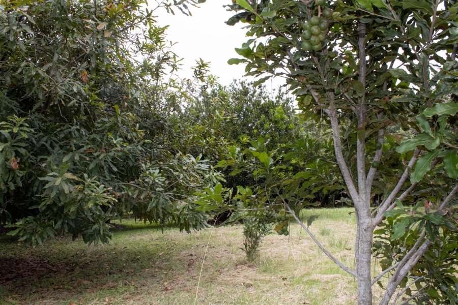 5 Bedroom Property for Sale in Port Edward KwaZulu-Natal