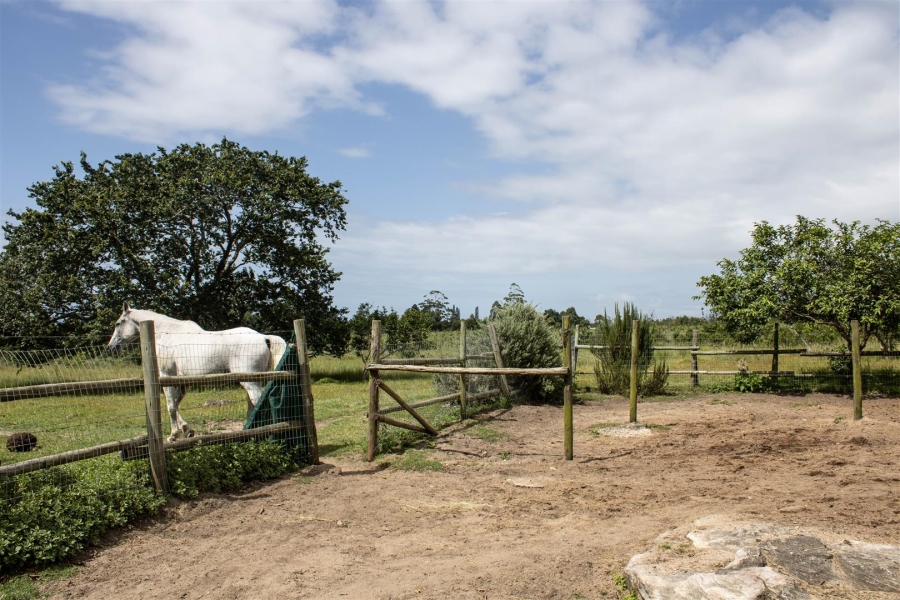 5 Bedroom Property for Sale in Port Edward KwaZulu-Natal