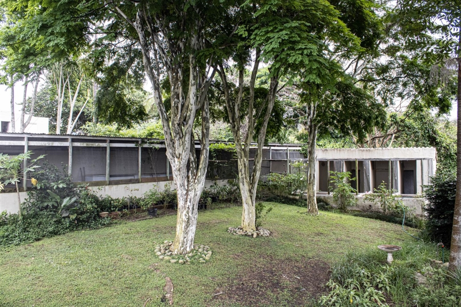 5 Bedroom Property for Sale in Port Edward KwaZulu-Natal
