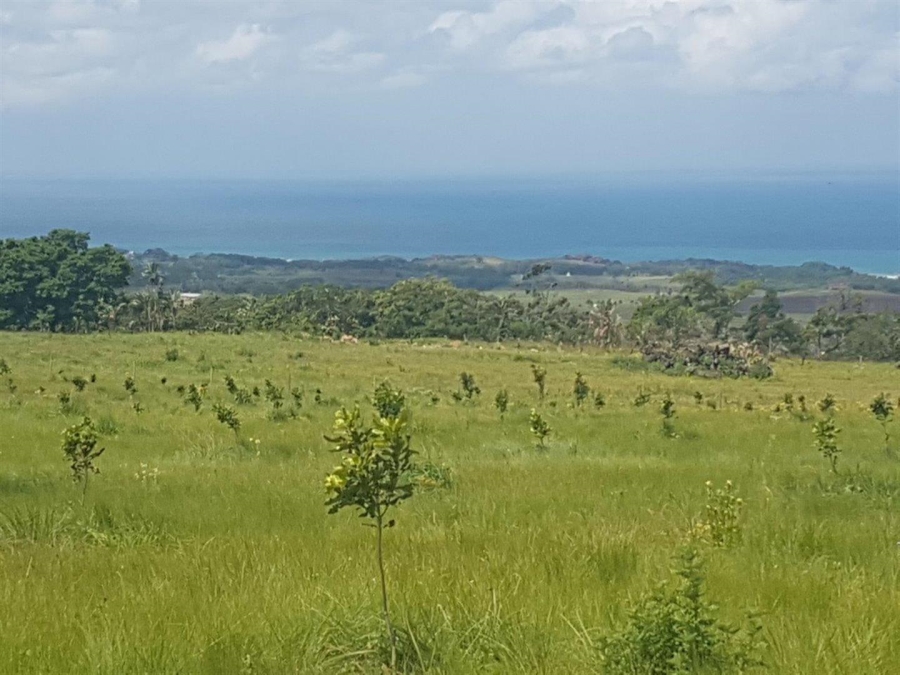 5 Bedroom Property for Sale in Port Edward KwaZulu-Natal