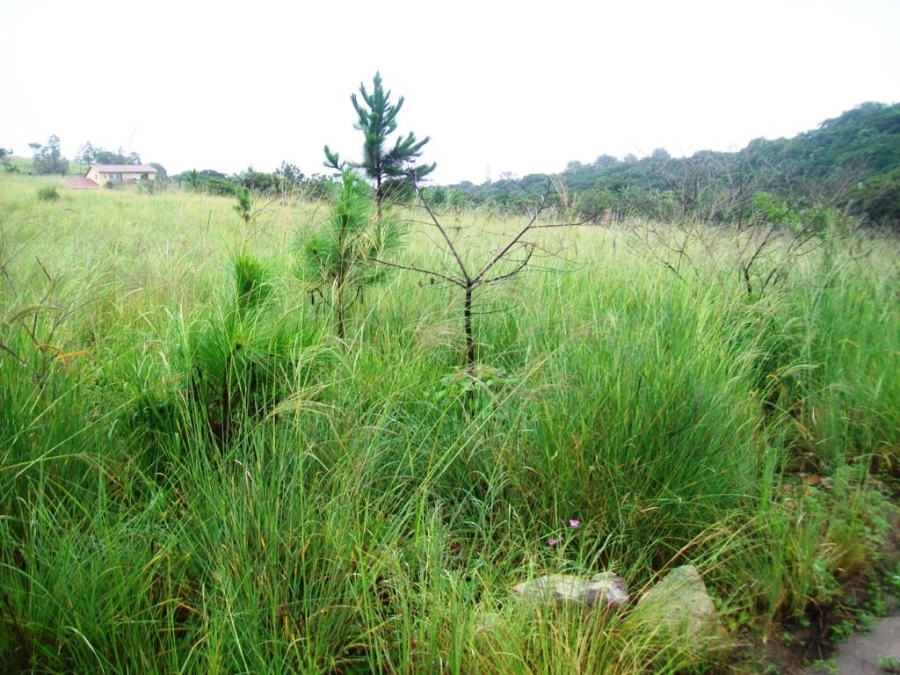  Bedroom Property for Sale in Margate KwaZulu-Natal