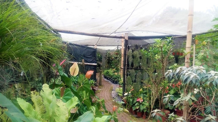 1 Bedroom Property for Sale in Uvongo KwaZulu-Natal