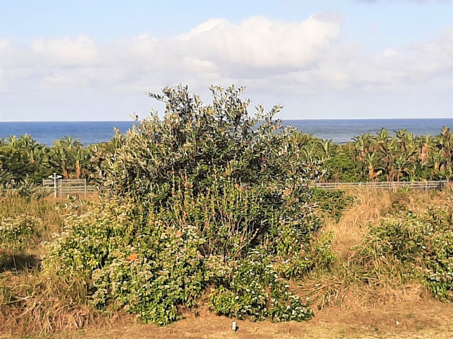  Bedroom Property for Sale in Ekubo Coastal Estate KwaZulu-Natal