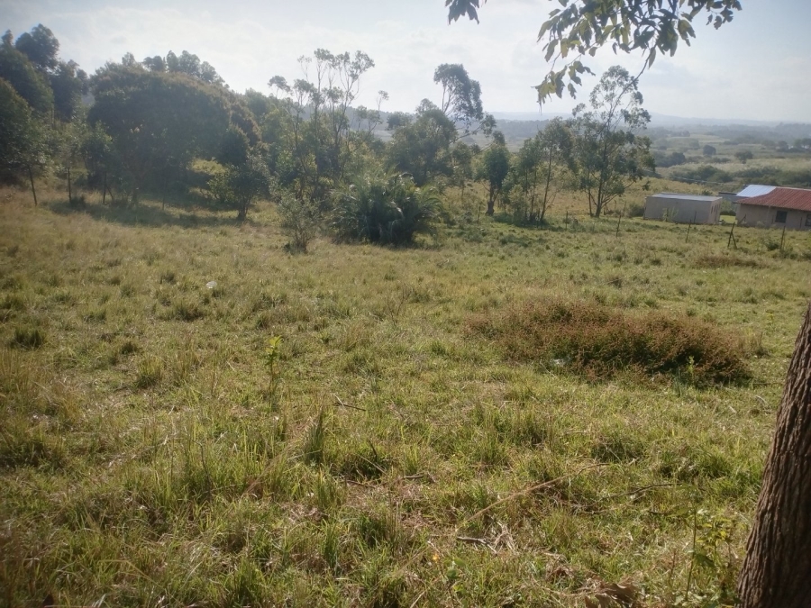  Bedroom Property for Sale in Ongoye KwaZulu-Natal