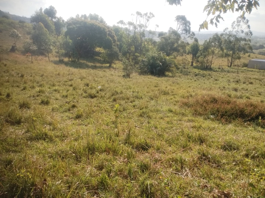  Bedroom Property for Sale in Ongoye KwaZulu-Natal