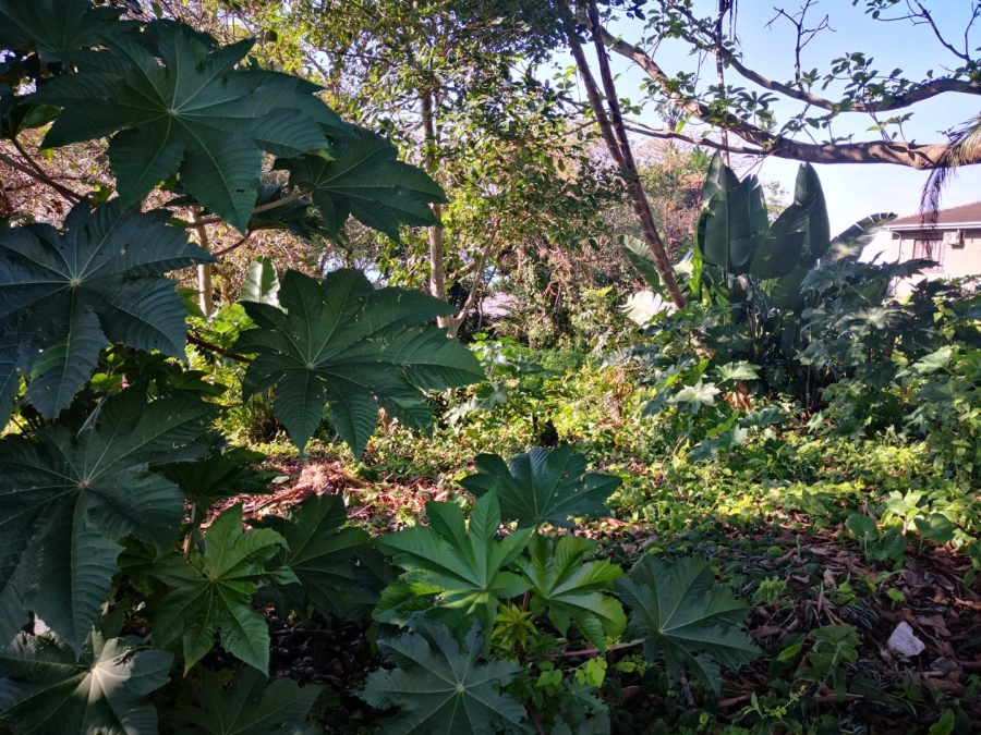  Bedroom Property for Sale in Woodgrange KwaZulu-Natal