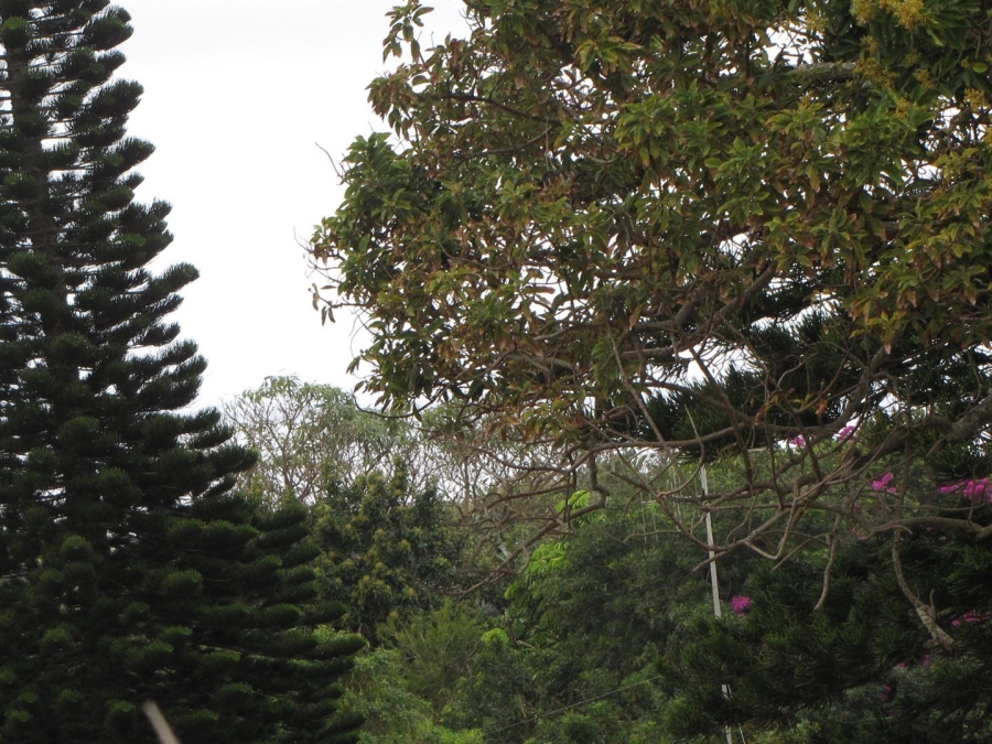  Bedroom Property for Sale in Catalina Bay KwaZulu-Natal