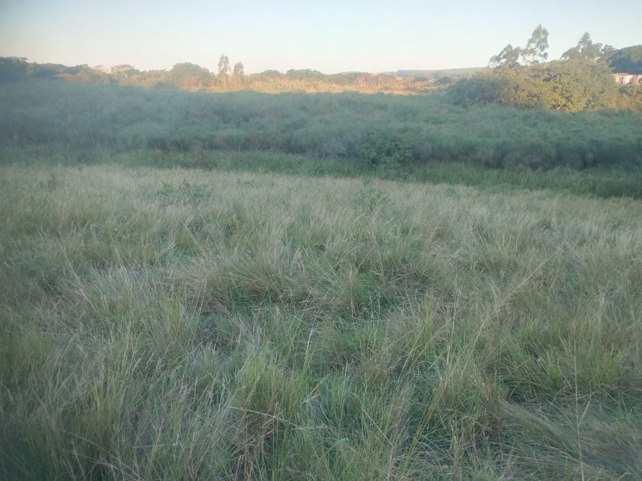  Bedroom Property for Sale in Ongoye KwaZulu-Natal