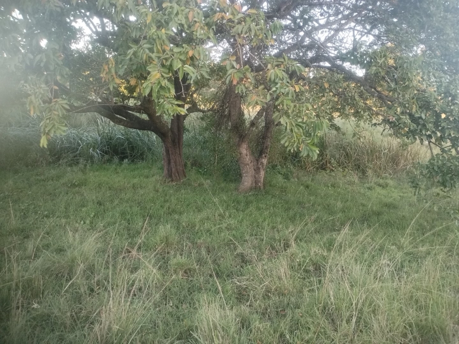  Bedroom Property for Sale in Ongoye KwaZulu-Natal