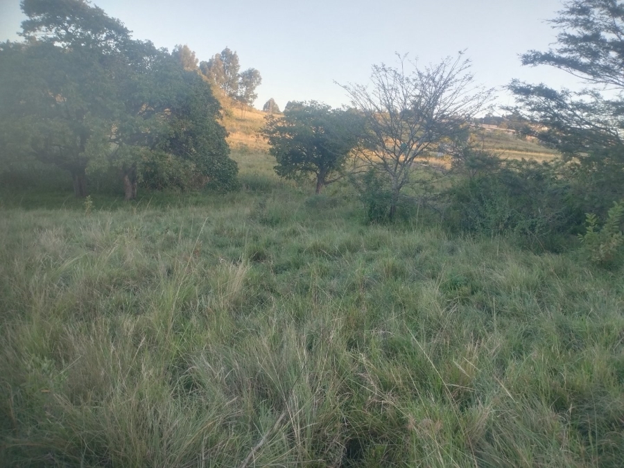  Bedroom Property for Sale in Ongoye KwaZulu-Natal