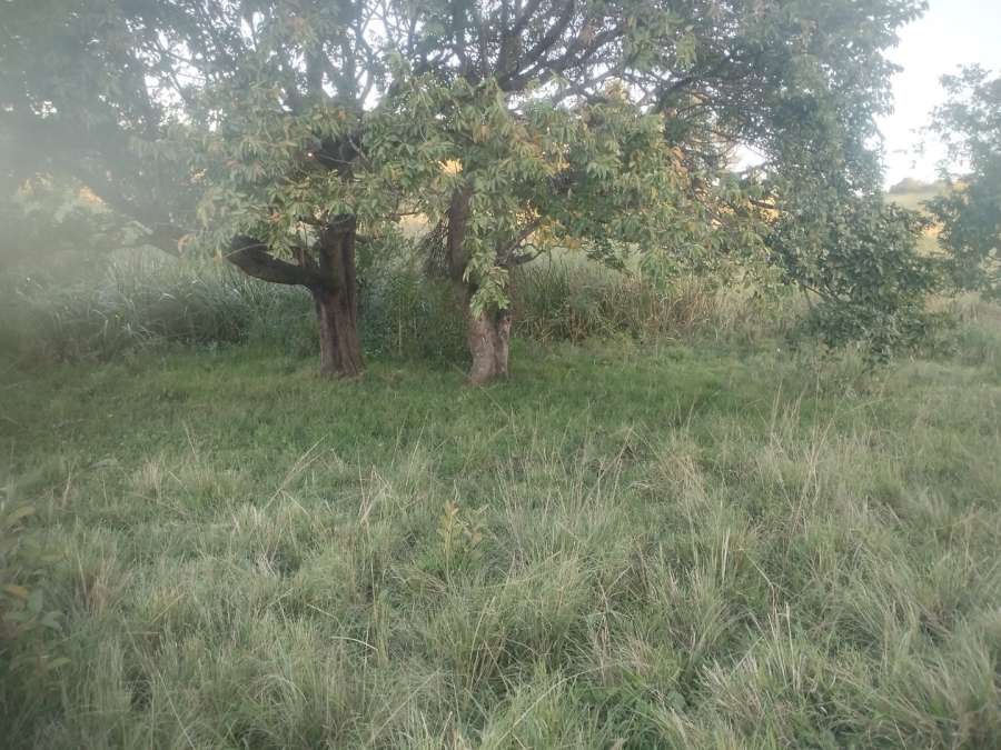  Bedroom Property for Sale in Ongoye KwaZulu-Natal