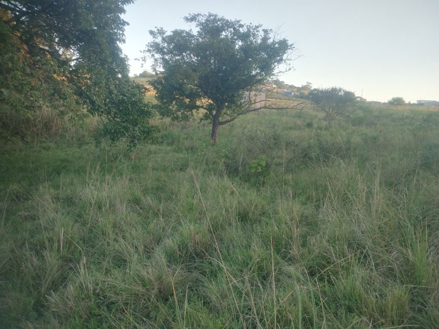  Bedroom Property for Sale in Ongoye KwaZulu-Natal