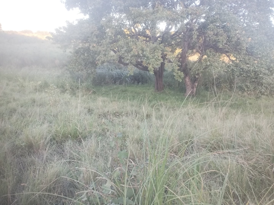  Bedroom Property for Sale in Ongoye KwaZulu-Natal