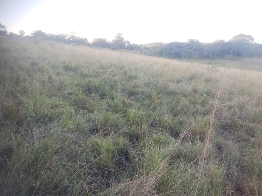  Bedroom Property for Sale in Ongoye KwaZulu-Natal