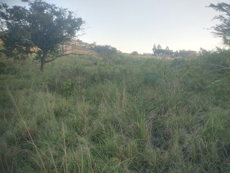  Bedroom Property for Sale in Ongoye KwaZulu-Natal
