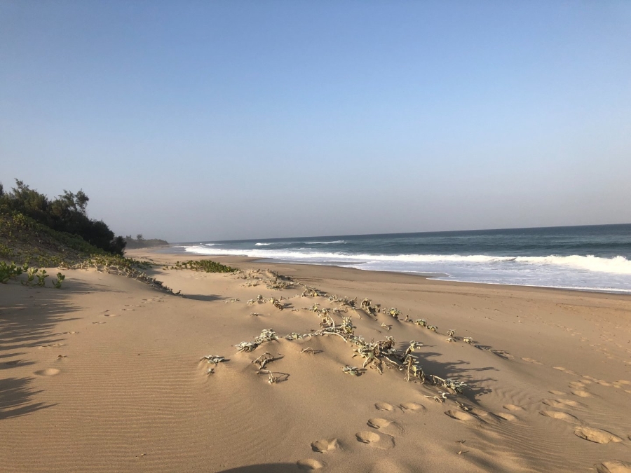 3 Bedroom Property for Sale in Port Edward KwaZulu-Natal
