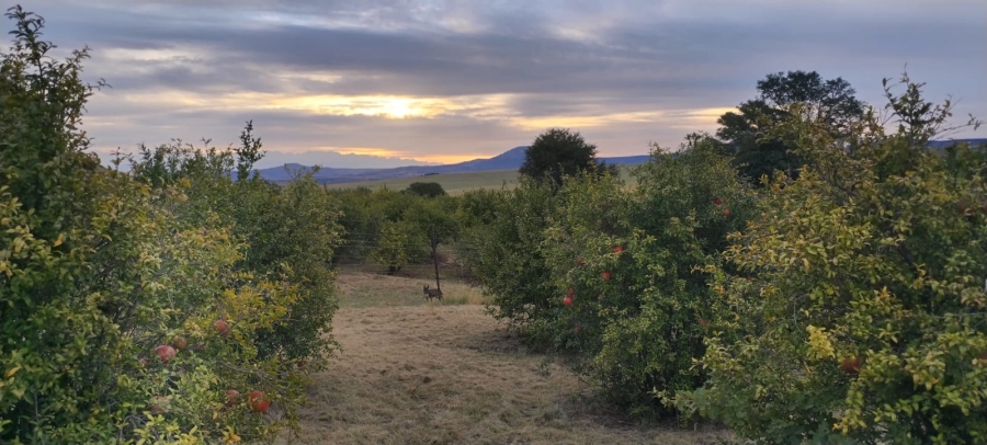 4 Bedroom Property for Sale in Utrecht Rural KwaZulu-Natal