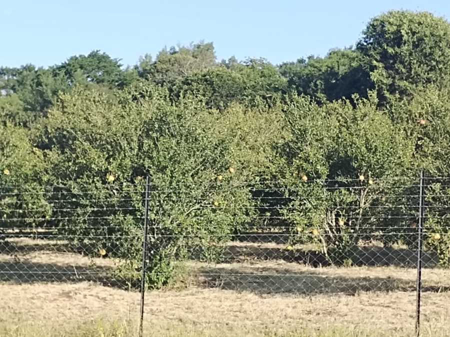 4 Bedroom Property for Sale in Utrecht Rural KwaZulu-Natal