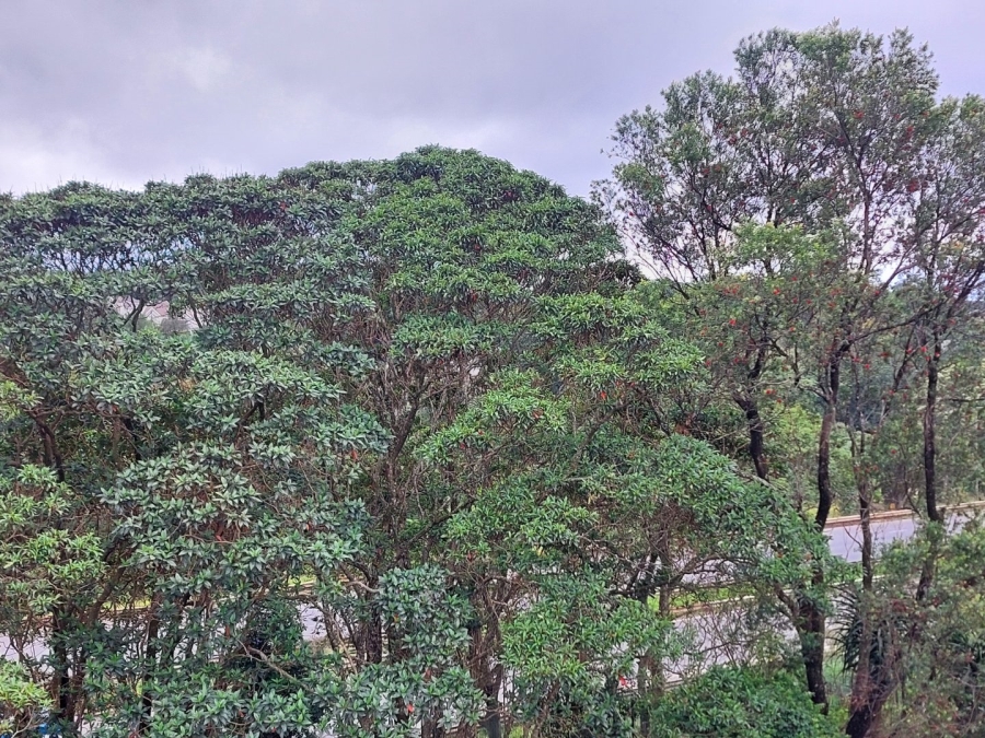  Bedroom Property for Sale in Gillitts KwaZulu-Natal