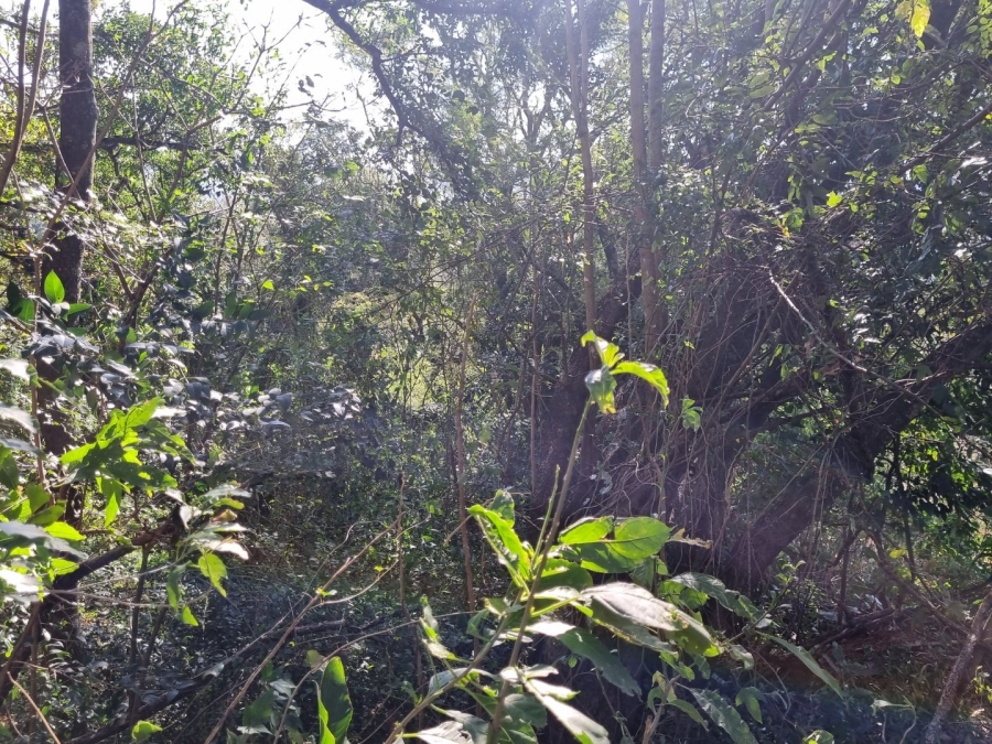  Bedroom Property for Sale in Blackridge KwaZulu-Natal