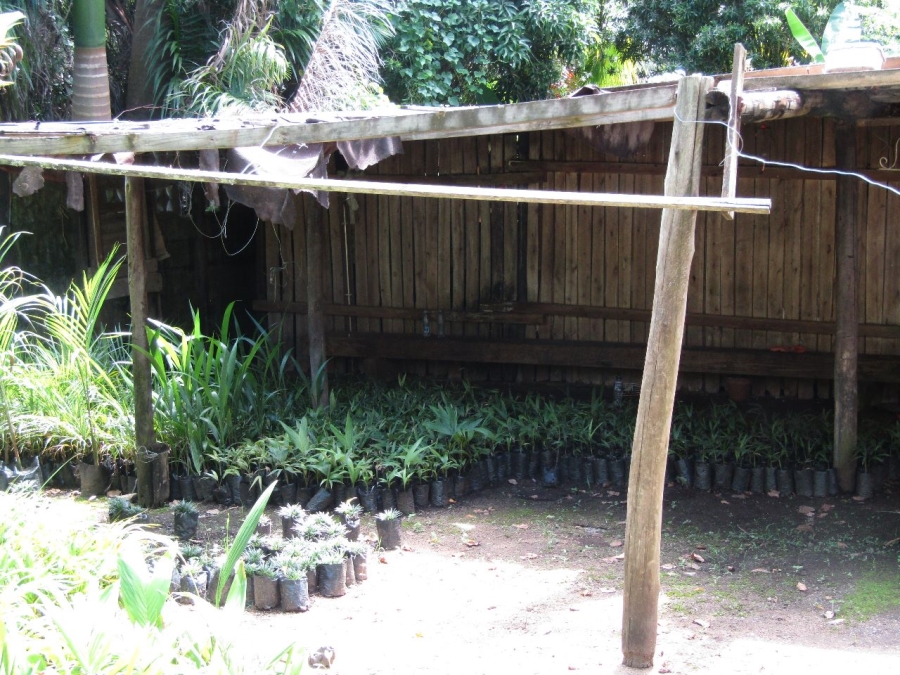 5 Bedroom Property for Sale in Marina Beach KwaZulu-Natal