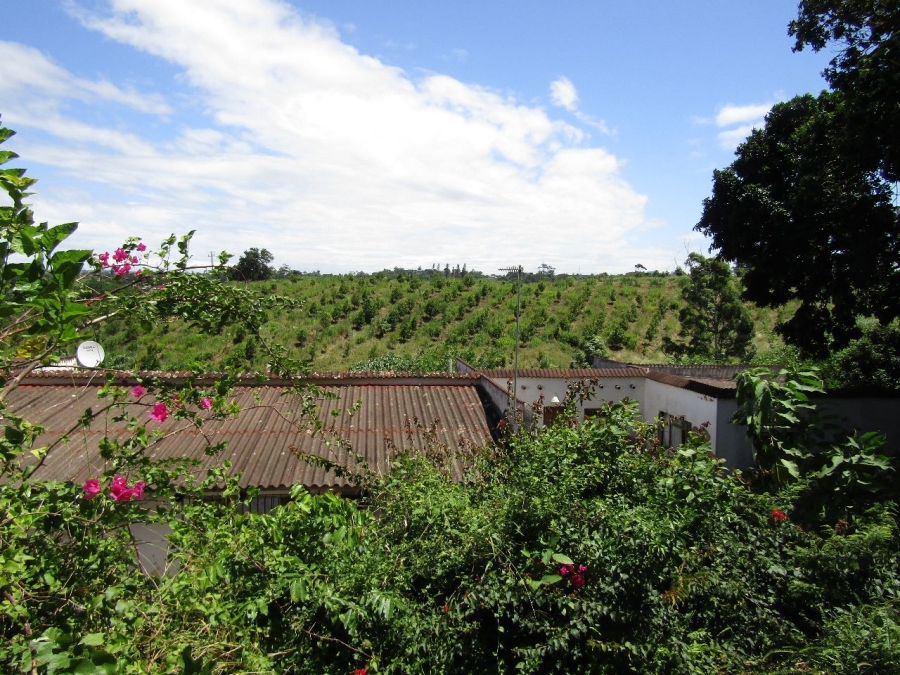 5 Bedroom Property for Sale in Marina Beach KwaZulu-Natal