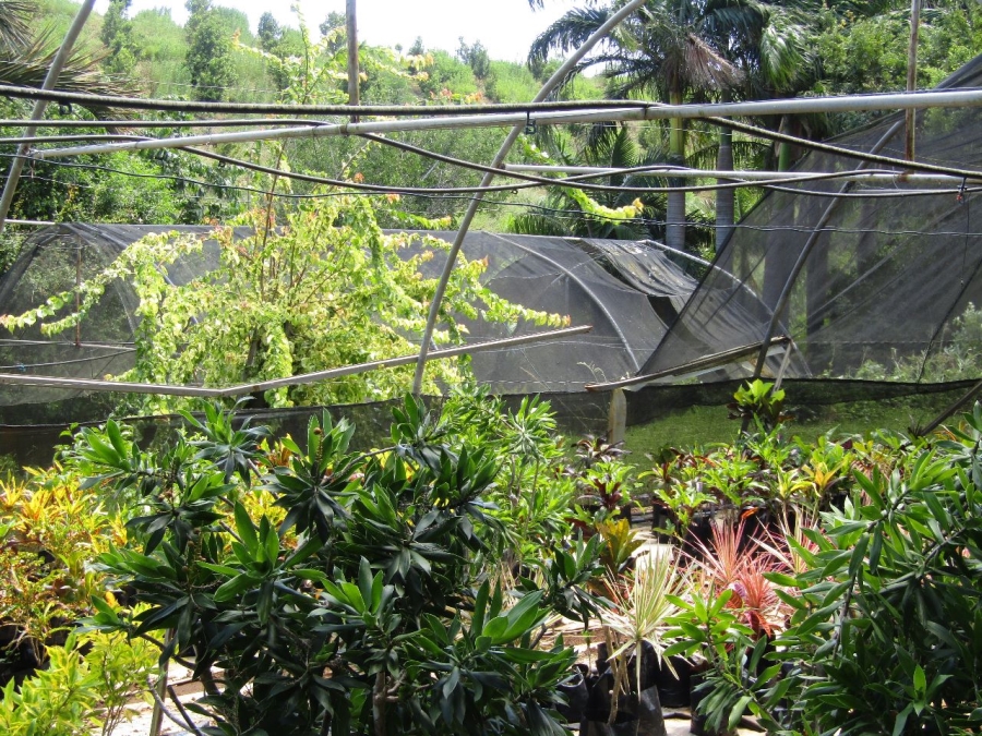 5 Bedroom Property for Sale in Marina Beach KwaZulu-Natal