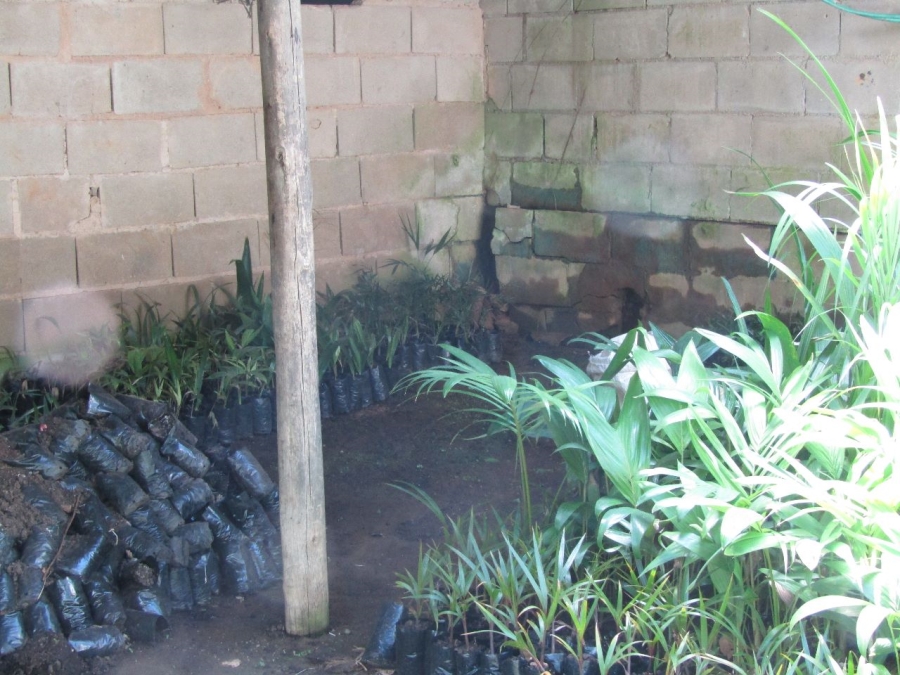 5 Bedroom Property for Sale in Marina Beach KwaZulu-Natal