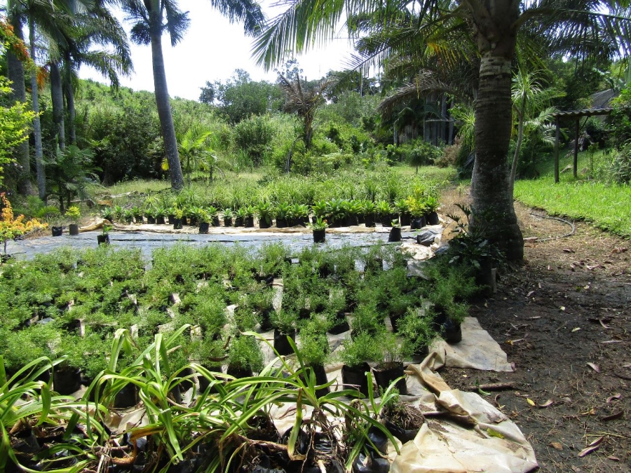 5 Bedroom Property for Sale in Marina Beach KwaZulu-Natal