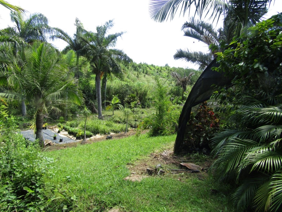 5 Bedroom Property for Sale in Marina Beach KwaZulu-Natal