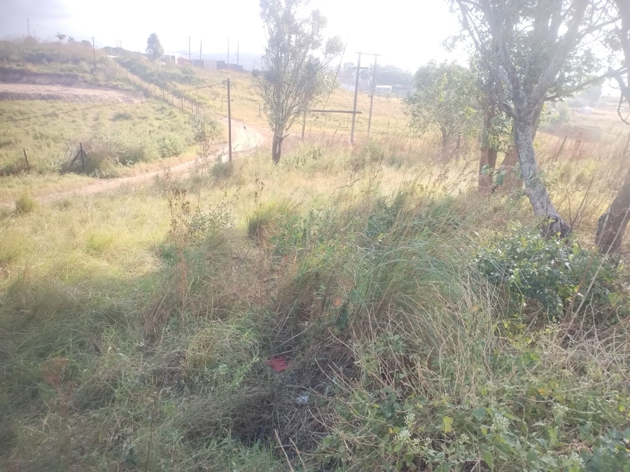  Bedroom Property for Sale in Ongoye KwaZulu-Natal