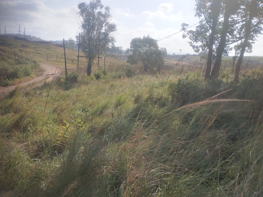  Bedroom Property for Sale in Ongoye KwaZulu-Natal