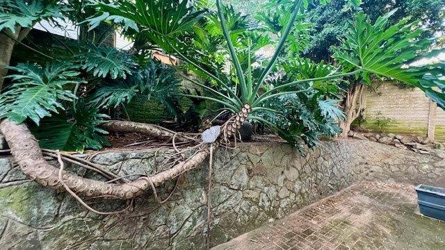 7 Bedroom Property for Sale in Uvongo KwaZulu-Natal